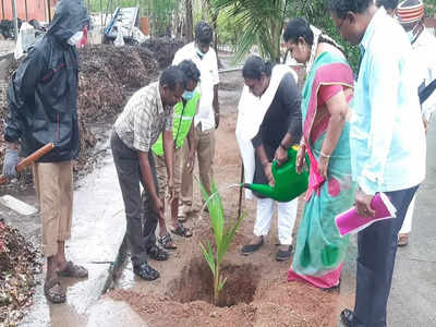 கொட்டும் மழையில் மரக்கன்று நட்ட தருமபுரி மாவட்ட ஆட்சியர்...!