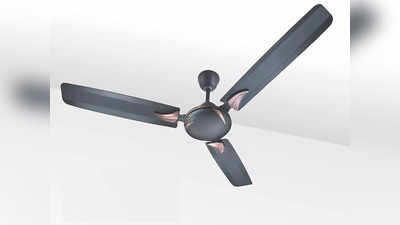 आपकी जरूरत के हिसाब से यहां मिलेंगे हर तरह के Ceiling Fan, बजट से लेकर रिमोट कंट्रोल मॉडल हैं उपलब्ध