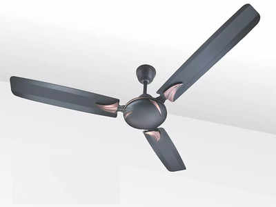 आपकी जरूरत के हिसाब से यहां मिलेंगे हर तरह के Ceiling Fan, बजट से लेकर रिमोट कंट्रोल मॉडल हैं उपलब्ध