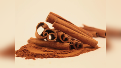 cinnamon benefits: దాల్చిన చెక్క తీసుకుంటే.. బరువు తగ్గుతారా..?