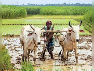 பணத்தை திருப்பி கொடுக்க வேண்டும்.. விவசாயிகளுக்கு அரசு உத்தரவு!