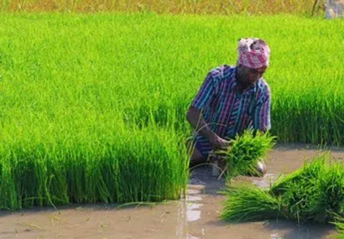 யாருக்கெல்லாம் பணம் கிடைக்கும்?