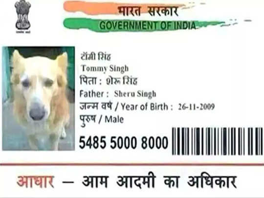 aadhar card funny photos, जब 'आधार कार्ड' के साथ लोगों ने कर दिया कांड!  Photos देख उड़ जाएंगे सिर के बाल - aadhar card funny photos viral on  internet - Navbharat Times