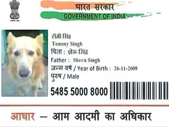 aadhar card funny photos, जब 'आधार कार्ड' के साथ लोगों ने कर दिया कांड! Photos देख उड़ जाएंगे सिर के बाल - aadhar card funny photos viral on internet - Navbharat Times aadhar card funny photos, जब 'आधार कार्ड' के साथ लोगों ने कर दिया कांड! Photos देख उड़ जाएंगे सिर के बाल - aadhar card funny photos viral on internet - Navbharat Times