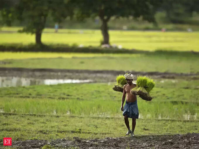 ​കുളക്കാട്ടുകുറിശ്ശിയുടെ അഭിമാനം