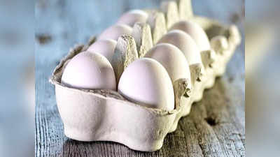 Egg Price: চিকেনের পর এবার দাম বাড়বে ডিমের! কত টাকা বেশি খরচ হবে? জানুন