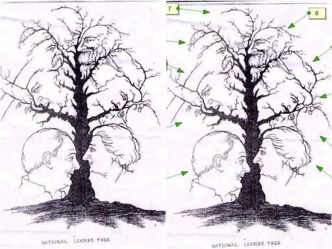 national leaders tree optical illusion