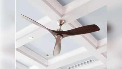 इन‌ डेकोरेटिव Ceiling Fan को कर सकते हैं रिमोट से कंट्रोल, कीमत है 2000 रुपये के अंदर