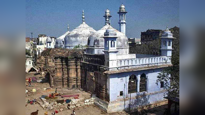 Gyanvapi Masjid News: हम सबकी कल्पना से अधिक बहुत कुछ...ज्ञानवापी मस्जिद तहखानों के सर्वे के बाद बोले हिंदू पक्ष के वकील