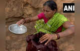 Maharashtra Water Crisis: गड्ढा खोदकर पानी निकालने को मजबूर... 60 साल से बूंद-बूंद पानी को तरसता चंद्रपुर