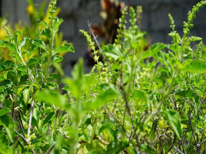 ​ಈ ಕೆಲಸಗಳನ್ನು ಮಾಡಬೇಡಿ