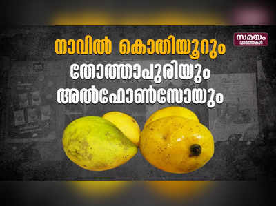 നാവില്‍ കൊതിയൂറും തോത്താപുരിയും അല്‍ഫോണ്‍സോയും