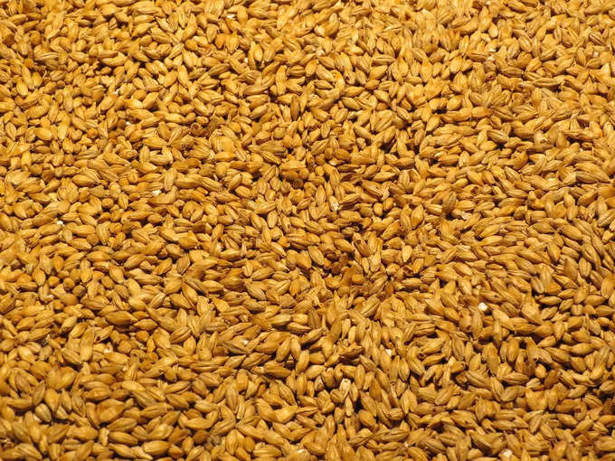 barley