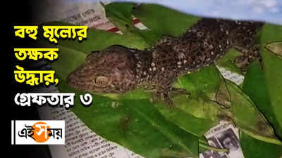 বহু মূল্যের তক্ষক উদ্ধার, গ্রেফতার ৩