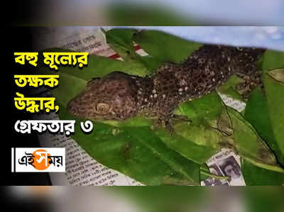 বহু মূল্যের তক্ষক উদ্ধার, গ্রেফতার ৩