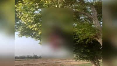 Bulandshahr Crime News: पेड़ पर लटकती मिली युवक और युवती की लाश, जानिए क्या है मामला