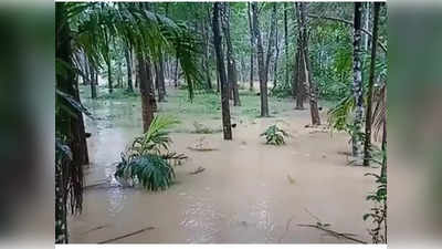 കൊല്ലത്ത് കനത്ത മഴ തുടരുന്നു; നിരവധി വീടുകൾ തകർന്നു, മരങ്ങൾ കടപുഴകി ​ഗ​താ​ഗത തടസം