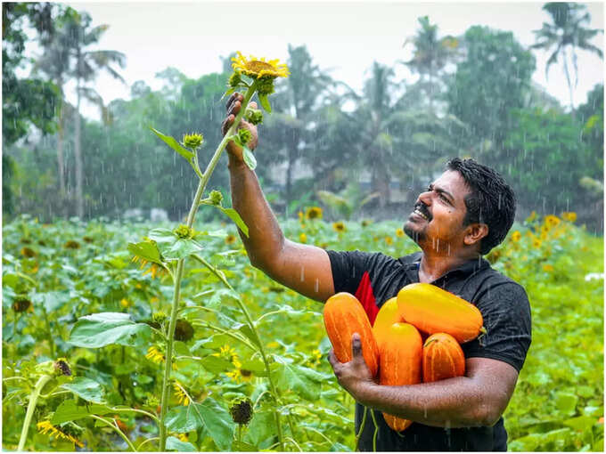 കൃഷി രീതി