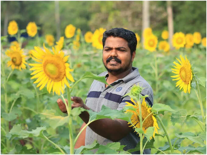 ​സൂര്യകാന്തി പാടങ്ങള്‍