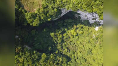 चीन में वैज्ञानिकों ने खोजा 630 फीट गहरा सिंकहोल, अंदर मिला प्राचीन जंगल देख वैज्ञानिक हुए हैरान