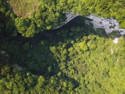 चीन में वैज्ञानिकों ने खोजा 630 फीट गहरा सिंकहोल, अंदर मिला प्राचीन जंगल देख वैज्ञानिक हुए हैरान