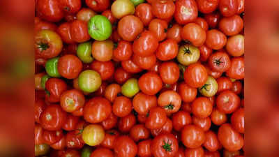 Tomato Price: আকাশছোঁয়া দাম টমেটোর, কারণ জানুন এক ক্লিকেই