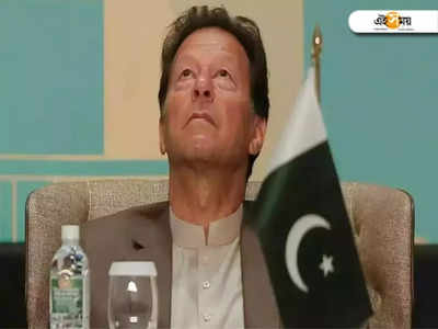 যদি আমি খুন হয়ে যাই..., এরপর কী বললেন Imran Khan?