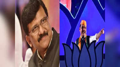 Sanjay Raut: देवेंद्र फडणवीसांच्या मुंबईतील भाषणानंतर संजय राऊतांचं ट्विट, म्हणाले...