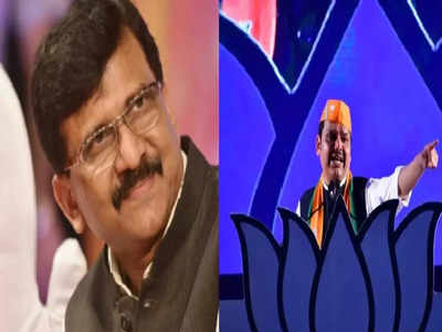 Sanjay Raut: देवेंद्र फडणवीसांच्या मुंबईतील भाषणानंतर संजय राऊतांचं ट्विट, म्हणाले...