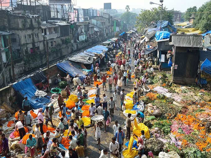 ​ফুলের বাহার