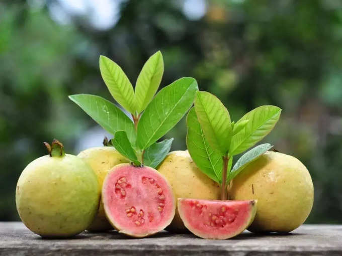 ​டெங்கு காய்ச்சலுக்கு கொய்யா ஜூஸ் (guava and dengue)