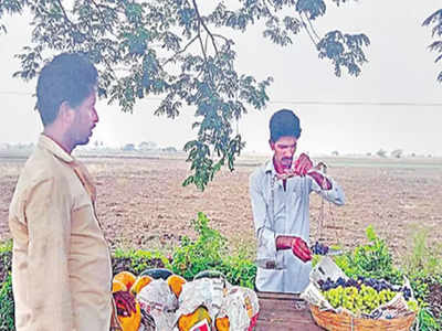 పనులు చేసేందుకు నిధుల్లేక, చేసినవాటికి బిల్లులు రాక.. పండ్లు అమ్ముకుంటున్న సర్పంచ్