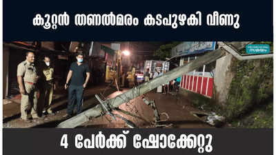 കൂറ്റൻ തണൽമരം കടപുഴകി വീണു; 4 പേർക്ക് ഷോക്കേറ്റു