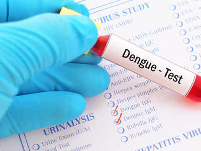 National Dengue Day 2022: ಡೇಂಗ್ಯೂ ಜ್ವರ ನಿವಾರಣೆಗೆ ಇಲ್ಲಿವೆ ಸುಲಭ ಮನೆಮದ್ದುಗಳು