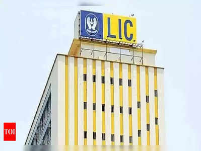 LIC IPO Listing: नुकसान के साथ लिस्ट हुआ शेयर तो क्या करें निवेशक? जानिए एक्सपर्ट्स की राय