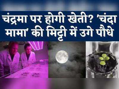 चंद्रमा पर होगी खेती? चंदा मामा की मिट्टी में उगे पौधे 