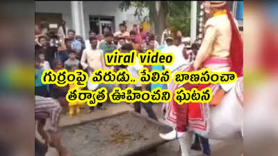 viral video: గుర్రంపై వరుడు.. పేలిన బాణసంచా.. తర్వాత ఊహించని ఘటన 