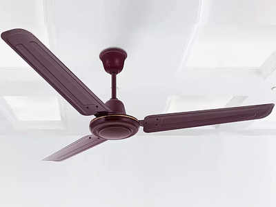 इन Ceiling Fan की ब्लेड्स पर नहीं जमा होगी मिट्टी की परत, कम बिजली के खर्च में मिलेगी तेज हवा