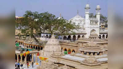 ज्ञानव्यापी मशिदीत शिवलिंग सापडल्याचा दावा; हिंदू पक्षाने थेट शेअर केला फोटो