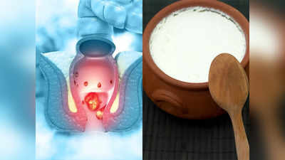 कब्ज-बवासीर के मरीज न खाएं ये 3 चीजें, Ayurveda डॉक्टर ने बताया जहर के सामान, आंतों को कर देती हैं खराब