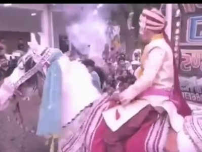বিয়ের মণ্ডপ থেকে বরকে নিয়ে পালাল ঘোড়া! Viral Video দেখে হাসির রোল নেটদুনিয়ায়
