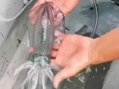 Viral Video: ನೀರಿನಿಂದ ತೆಗೆದ ತಕ್ಷಣ ಬಣ್ಣ ಬದಲಾಯಿಸುವ ಮೀನು!: ಅಚ್ಚರಿ ಮೂಡಿಸುತ್ತದೆ ಈ ದೃಶ್ಯ