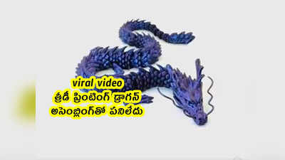 viral video: త్రీడీ ప్రింటింగ్ డ్రాగన్.. అసెంబ్లింగ్‌తో పనిలేదు