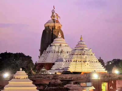 Puri-র Jagannath Temple-এর কাছে ধ্বংসাবশেষে মিলল সিংহের মূর্তি!