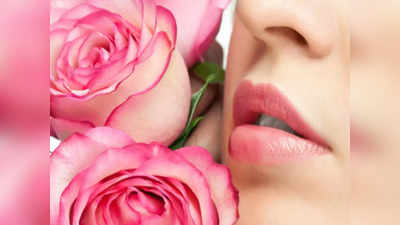 ओठ राहतील गुलाबाच्या पाकळ्यांप्रमाणे मखमली व गुलाबी, फॉलो करा या ५ टिप्स