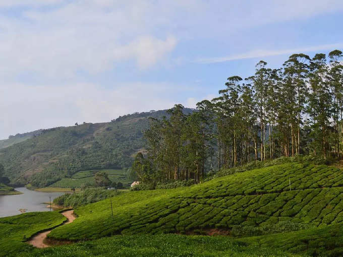 ​ಯಳಗಿರಿಯ ಸೌಂದರ್ಯ