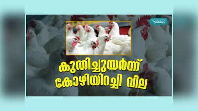 ചെറിയപെരുന്നാളിന് ശേഷവും രക്ഷയില്ല, കുതിച്ചുയര്‍ന്ന് കോഴിയിറച്ചി വില, വീഡിയോ കാണാം