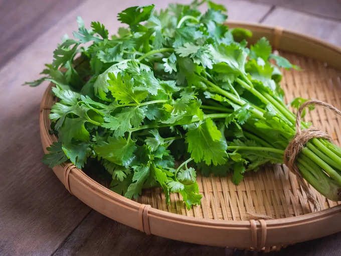 coriander