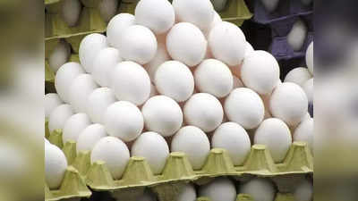 Egg Price: এবার দাম বাড়ল ডিমেরও! সানডে হো ইয়া মন ডে, রোজ না আন্ডে!!