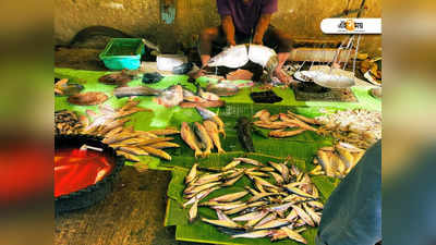 Kolkata Fish Price: মেছো বাঙালির পাতে জোড়া সার্জিক্যাল স্ট্রাইক! কেন দাম বাড়ছে মাছের?